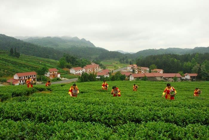 �����ķ羰��С˵��    ��/������