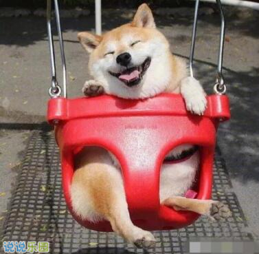 QQ�ռ��ЦͼƬ˵˵2