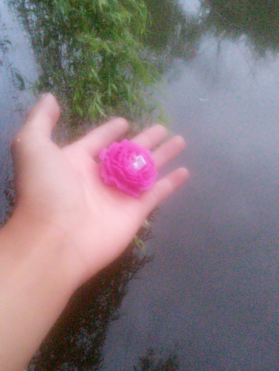 ���������š�˼��