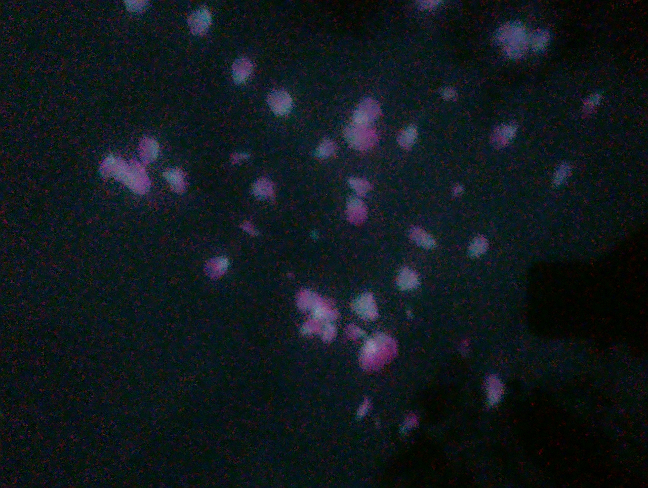 ���������š��ӡ�