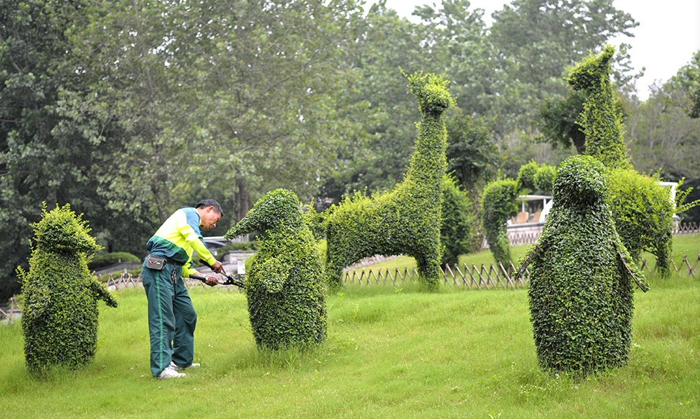 �𾴵�԰�ֹ�