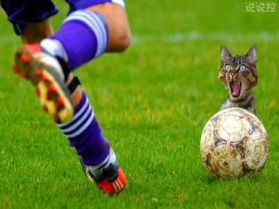 幽默搞笑的说说,幽默搞笑的段子 幽默搞笑的说说,幽默搞笑的段子