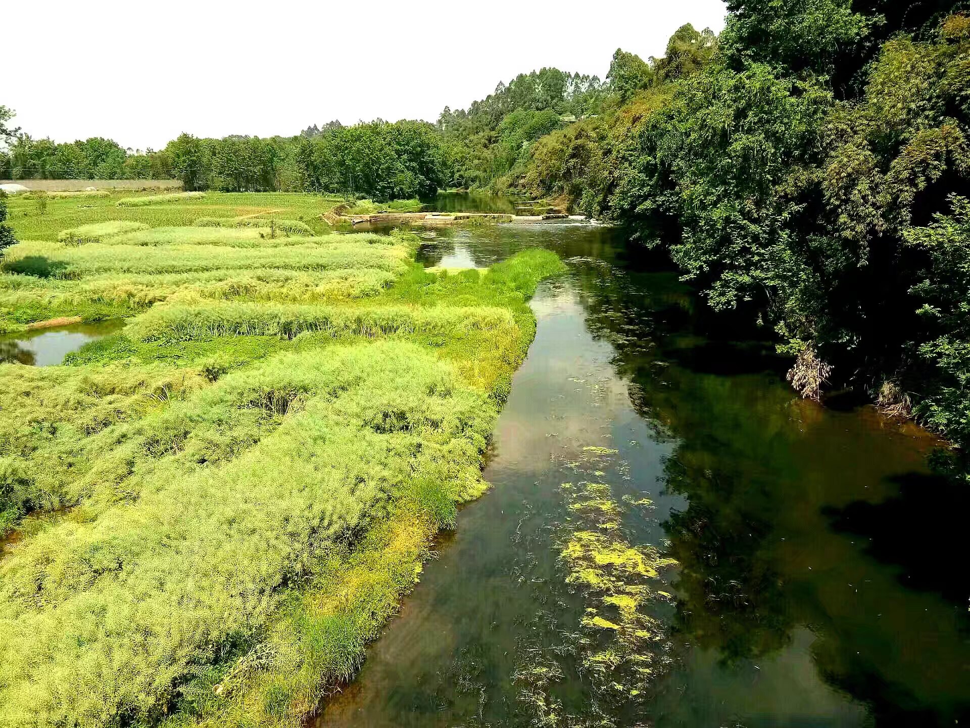 һ������