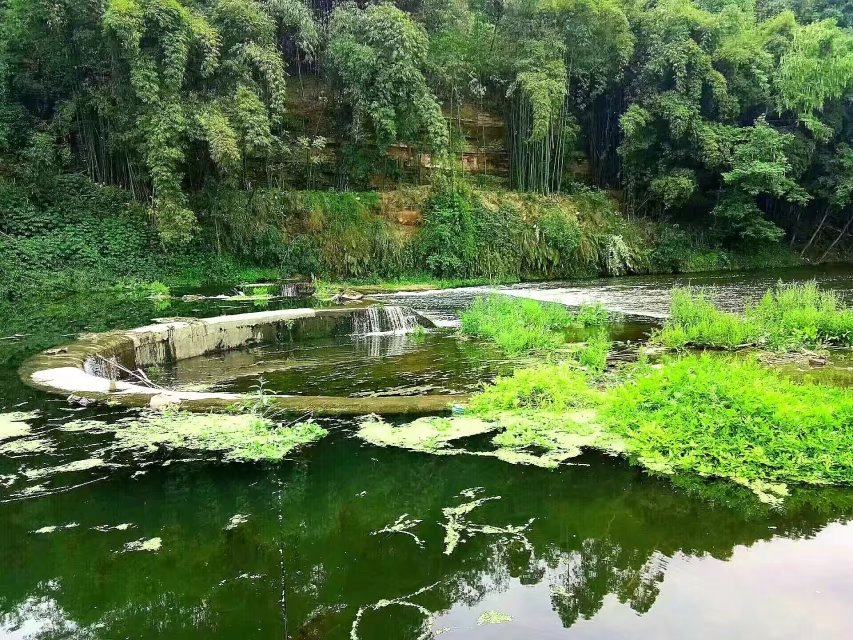 �ٱ���ӥ��