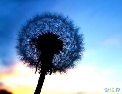 ����˵˵��������Ҫ��ס���۸����˺������Լ����㶼���Լ���